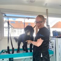 Precious pets grooming Spa