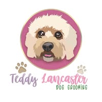 Teddy Lancaster Dog Grooming