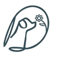 Daisy Dogs Grooming
