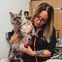 Tails of Long Sutton Dog & Cat Groomers and Training Centre