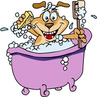 Neils Dogwash