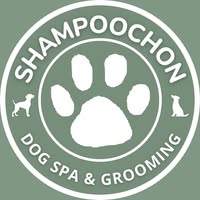 Shampoochon