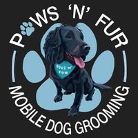 Paws 'n' Fur