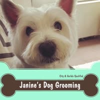 Janine's Dog Grooming