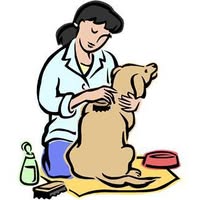 Excel Groom N Care