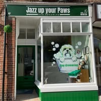 Jazz up your Paws