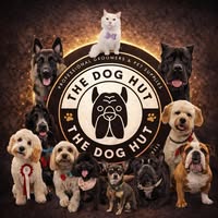 The Dog Hut