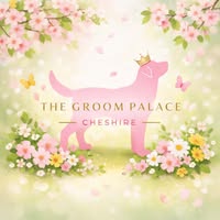 The Groom Palace Cheshire
