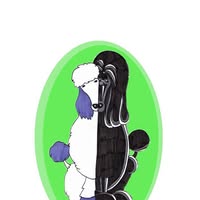 Pedigrees 'n' Pooches Dog Grooming