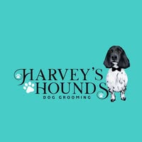 Harvey's Hounds dog grooming