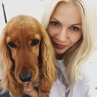BeautyPets Mobile Dog Grooming Services