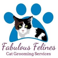Fabulous Felines Cat Grooming