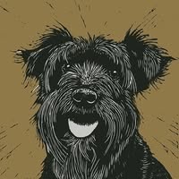 The Dog & Hair