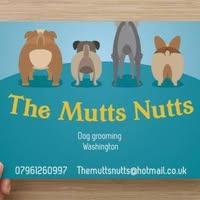 The Mutts Nutts Dog Grooming
