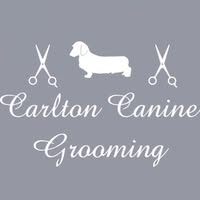 Carlton Canine Grooming