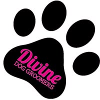 Divine Dog Groomers Ltd