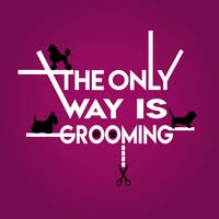 The Only Way Is Grooming