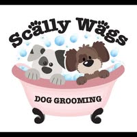 scally wags mobile dog grooming