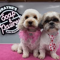 Soap & Pawrey the pamper pooch emporium