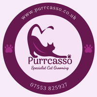 Purrcasso Cat Grooming