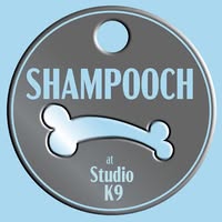 Shampooch at StudioK9