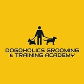 Dogoholics Grooming & Training Academy