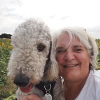 Tydedogs Dog Grooming