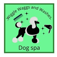 Wiggle Waggs and Washes