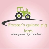 Forsters pets North shields