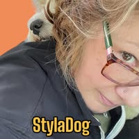 StylaDog
