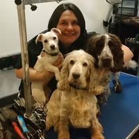 Lady Lilly's Dog Grooming