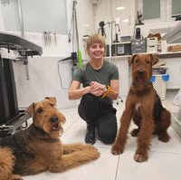 Levens Dog Grooming