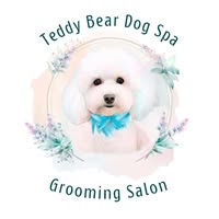 Teddy Bear Dog Spa