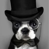 Barkers of Middleton