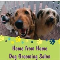 Home from Home Dog Grooming Salon