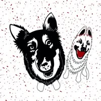 Harlequin Dog Grooming
