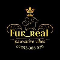 FurReal PawSitive Vibes