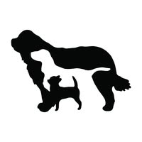 The Paw Revolution