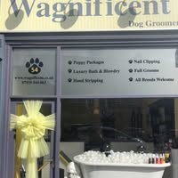 Wagnificent Dog Groomers