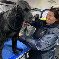 Dial a Dog Wash Chingford & surrounding