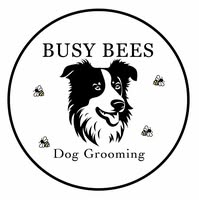 Busy Bees Dog Grooming