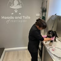Heads and Tails of Harrogate