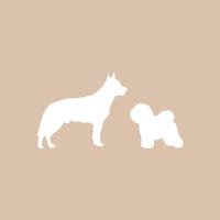Home Sweet Home Dog Grooming