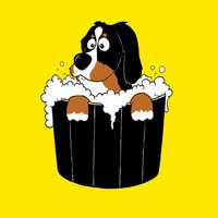 Self Service Dog Wash