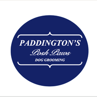 Paddington's posh paws