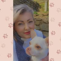 Le Beau Chien Dog groomers and boutique