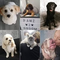Pawz 2 Groom