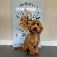 Claire's Dog Care