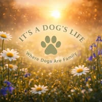 It's A Dogs Life