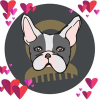 Short Bark and Sides Dog Grooming
